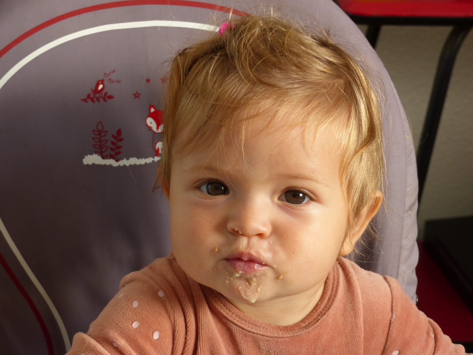 vaissellebébé.com - la vaisselle adaptée à vos petits trésors